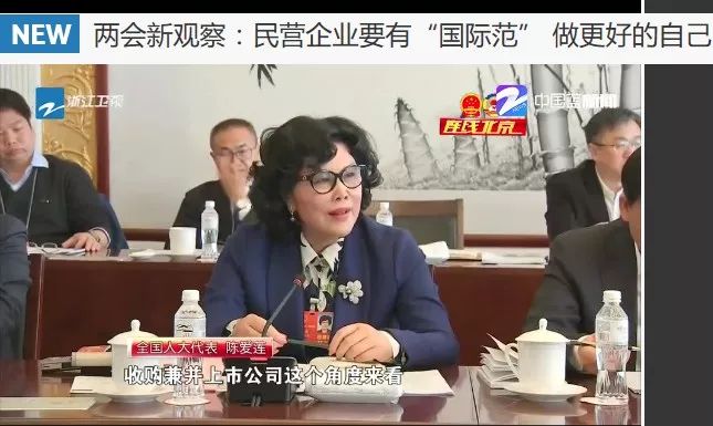兩會新觀察:民營企業要有“國際範” 做更好的自己
